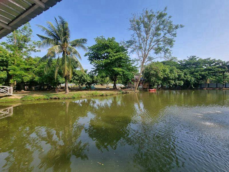 รูปที่ 6
