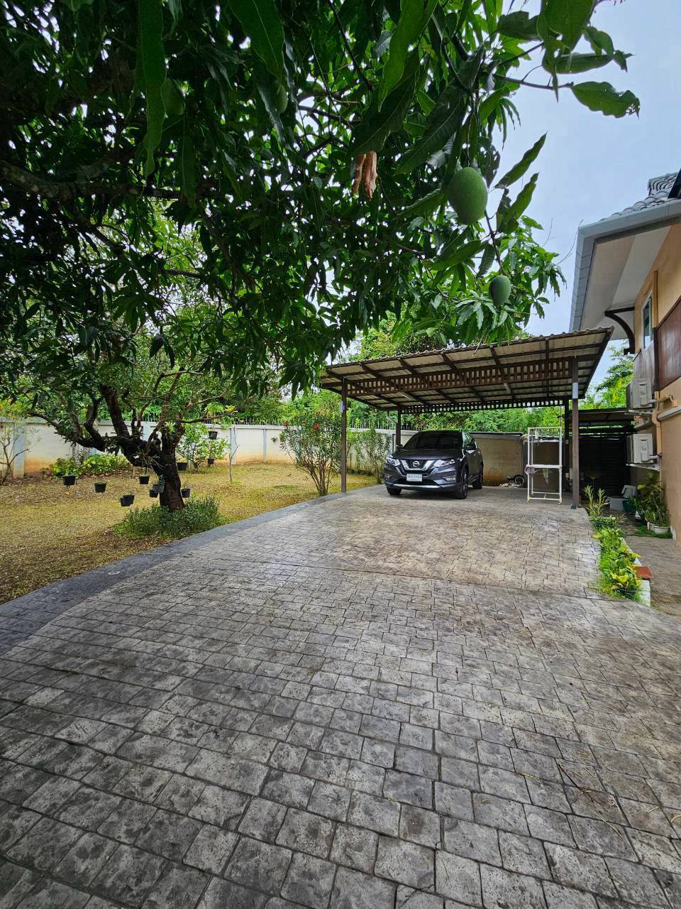 รูปที่ 3